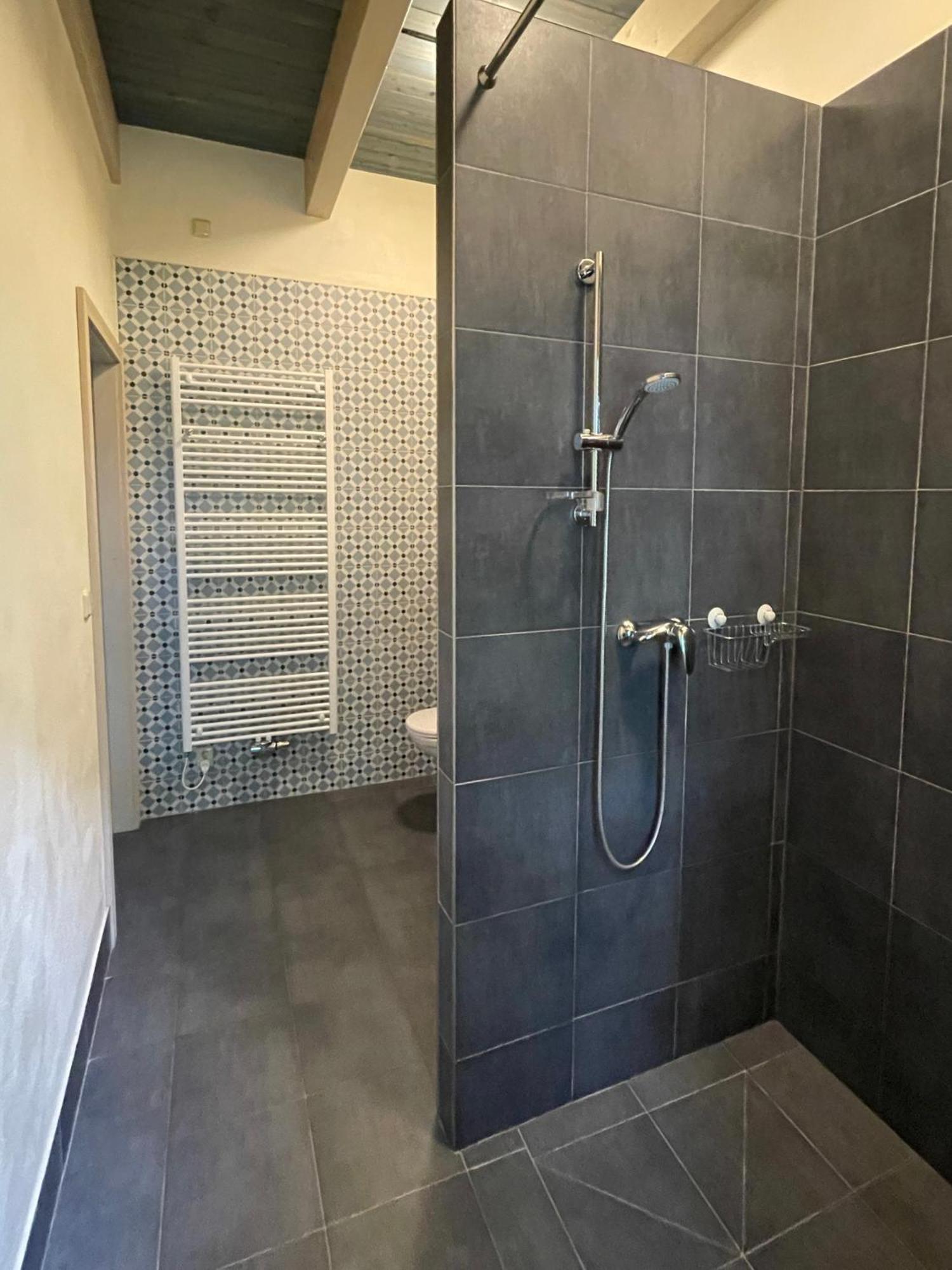 Apartmany Modrinovy Dum Horní Planá الغرفة الصورة